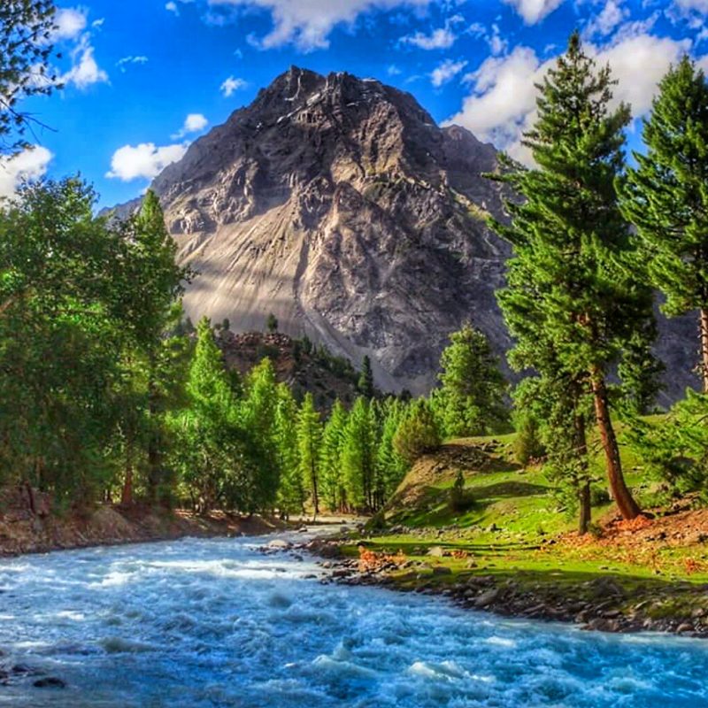 Naltar-Valley-Pakistan
